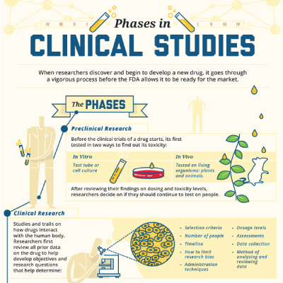 Phases-in-clinical-studies